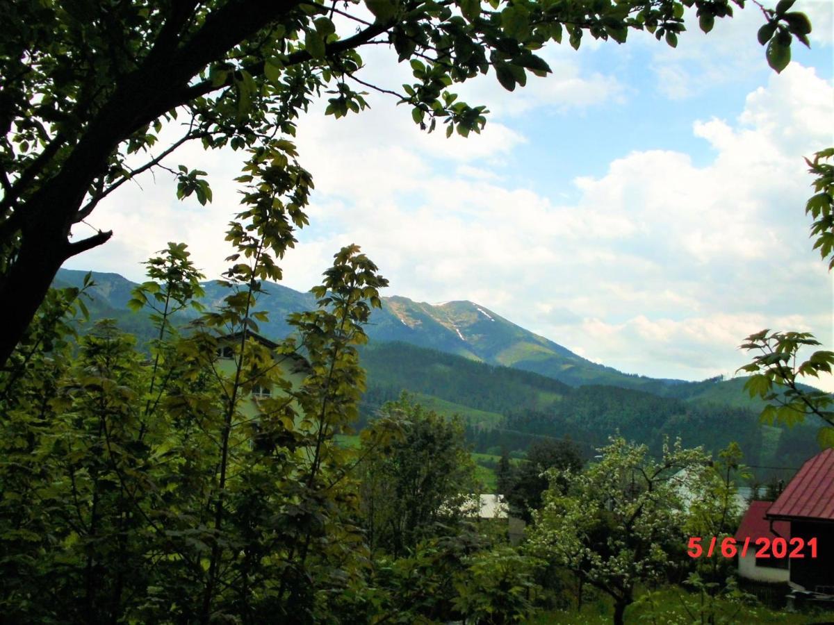 Drevenica Art Galery Villa Liptovska Luzna ภายนอก รูปภาพ